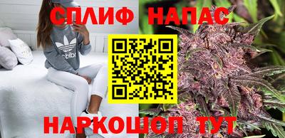 индика Ливны