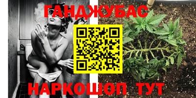 трава Лесосибирск