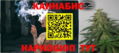 индика Ливны