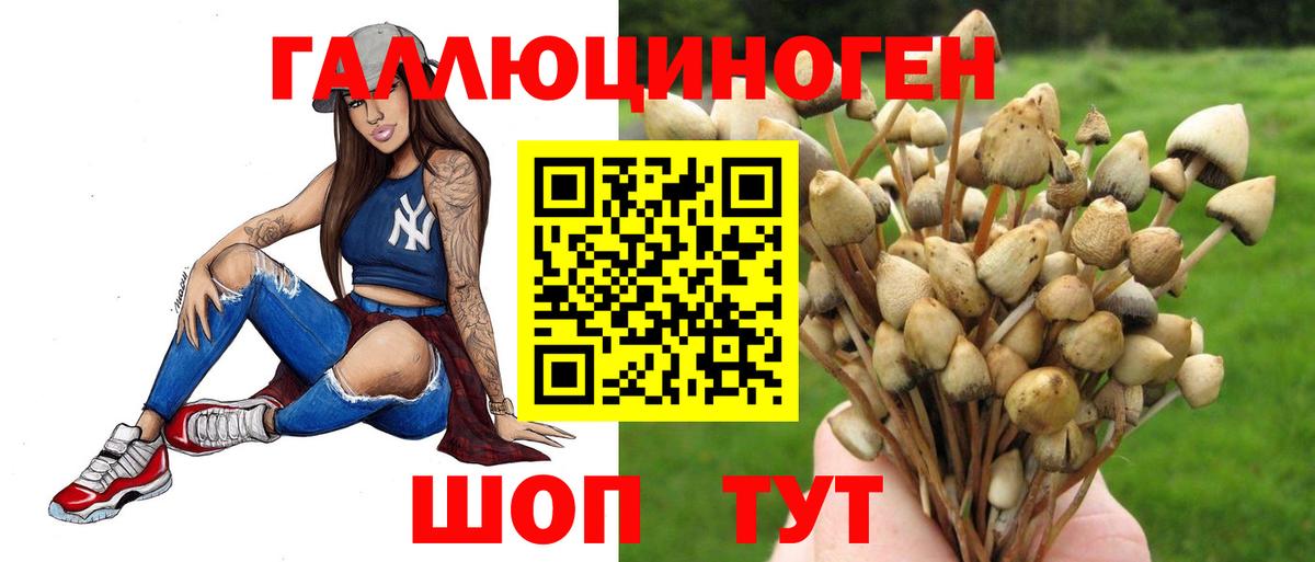 Псилоцибиновые грибы ЛСД Усть-Илимск